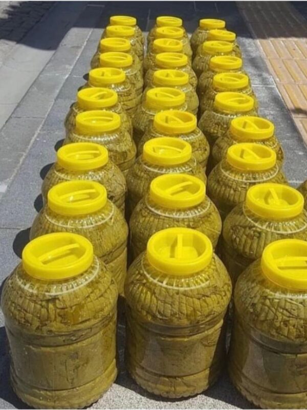 Salamura Yaprak (5 Kg’lık bidon)