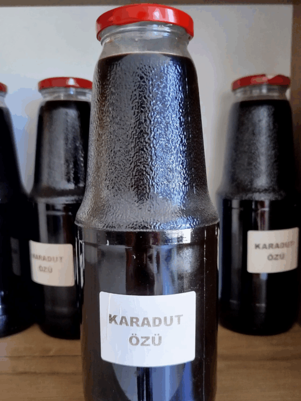 Karadut Özü